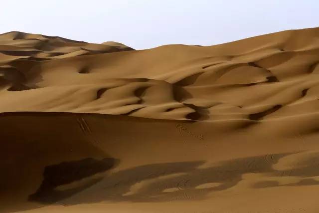 1xBET·Signup(中国集团)-官方网站