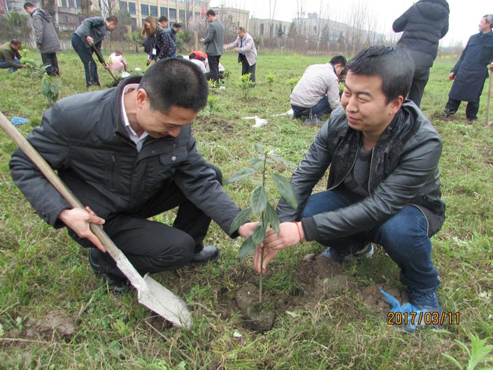 mg冰球突破(中国)官方网站