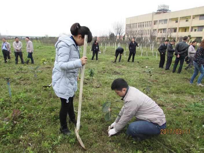 mg冰球突破(中国)官方网站